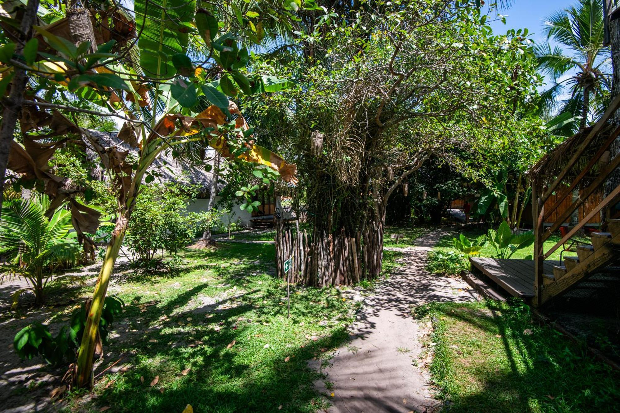 Vila Do Junco Santo Amaro do Maranhao Eksteriør billede